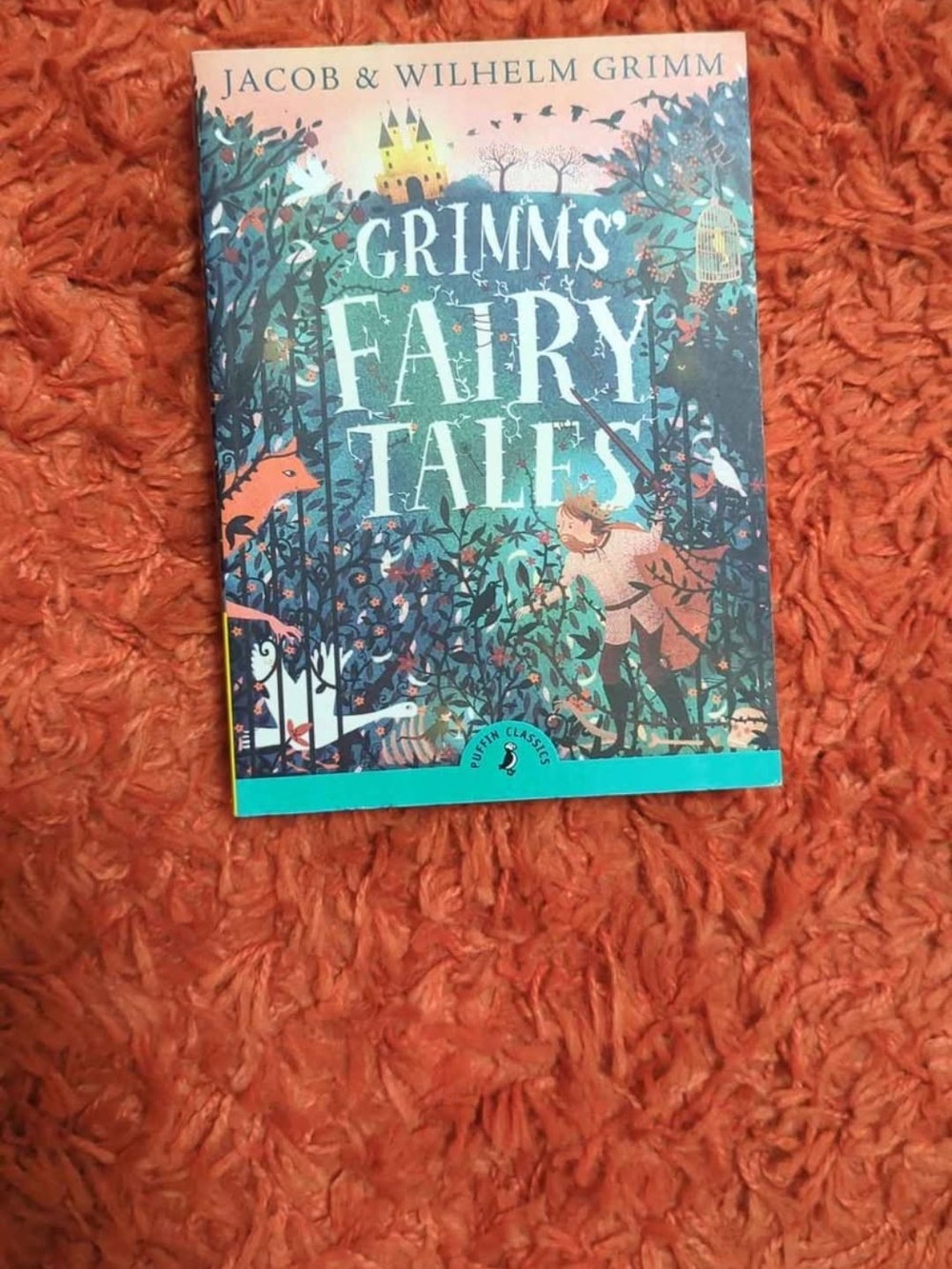 Grimm's Fairy Tales Book